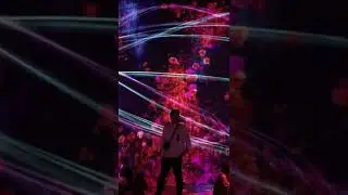 Tokyo Digital Art Museum 🇯🇵🖼👾