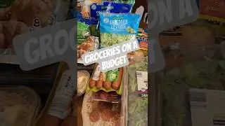 Aldi grocery haul for my family of 4 for the week