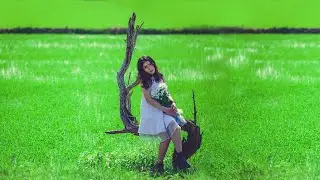 Scientific name of vegitable and plant in hindi