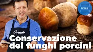 CONSERVAZIONE DEI FUNGHI PORCINI FRESCHI - come fare?