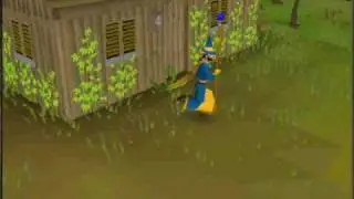 just random day of runescape