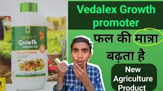 vedalex agrolex growth promoter ! vedalex agriculture product ! vedalex new product agrolex growth