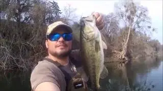 FEATHER-RAFT &reg; | Fox Grove | Largemouth Bass | #featherraft