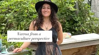 Varroa from a permaculture perspective