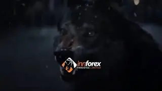 INNFOREX - INVESTIMENTOS  A PARTIR DE U$ 25;00