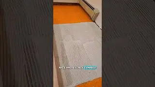 Schluter Ditra on Plywood