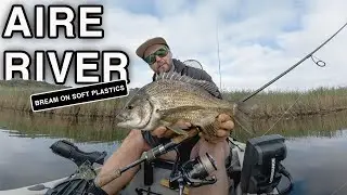Bream Fishing AIRE RIVER | This soft plastic was incredible!!