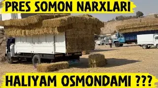 YEM XASHAK PRES NARXLARI SURXONDARYO OLTINSOYDA