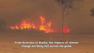 Climate Diplomacy