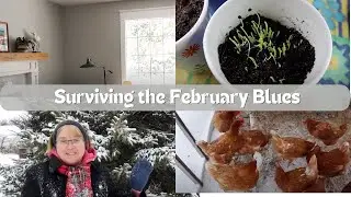Updating our 70s Farmhouse | Craftsman Window Trim | Which Seeds Have Sprouted? 🏡🌱🐓