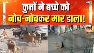 Karnal में आदमखोर कुत्तों का आतंक! | Haryana News | Dog Bite