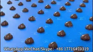 Roller chips chocolate molding line