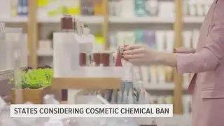 US states consider ban on cosmetics with 'forever chemicals'