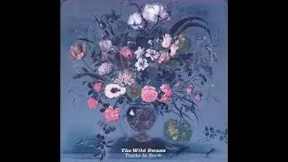 The Wild Swans - Disintegrating