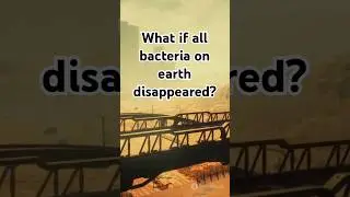 What if all bacteria on Earth disappeared / Amazing Facts About The Human Body #facts #science