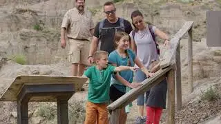 MONTANA: Dino Trail