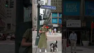 Lexington avenue in Manhattan