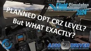 PMDG 737 Virtual Type Rating: PLANNED OPTIMUM FLIGHT LEVEL | Real 737 Pilot
