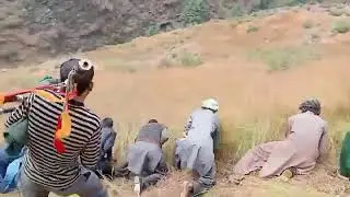 Gujjar tribe during harvesting of crops somewhere in hilly areas of jammu division #jammukashmir