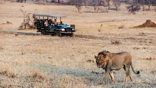 Conservation as done by Matetsi Victoria Falls! Shared by Inspiration Africa.