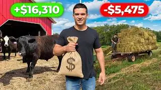 I tracked Every Dollar Farming Cattle & Hay for 1 Year (Complete Breakdown)