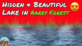 Aarey colony | Hidden & Beautiful Bangoda Lake  | Aarey Forest |