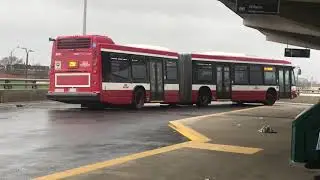 TTC Novabus LFS Artic [9001] New Livery