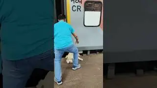 😥 #dog #railway #railwaystation #railways #doglover #dogshorts #doglife