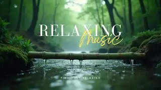 Beautiful Piano Music &ndash; Relaxing Sleep Music for Night Time