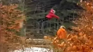 5 Unexplained Miracles Caught On Camera