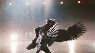 Black swan edit