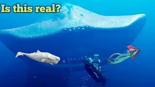 Is El Gran Maja real? Hungry shark evolution