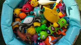 Игрушки &laquo;Морские животные&raquo; для малышей: интересные факты, названия и раннее обучение для дошкольн...