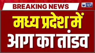 Madhya Pradesh Fire: Gwalior में इलेक्ट्रॉनिक गोदाम में लगी भीषण आग, करोड़ों का सामान जलकर स्वाहा