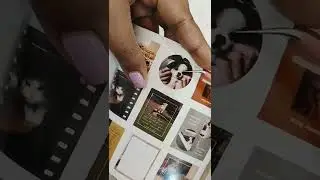 ASMR | 🐶 Dog Theme | #scrapbooking #shorts #creativejournaling #dog  #junkjournal #asmr