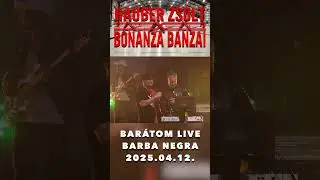 Hauber Zsolt X Bonanza Banzai -  Bar&aacute;tom Live r&ouml;vid I Barba Negra 2025.04.12. #hauberxbonanza