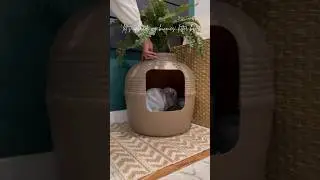 Upgrading Our Bunny Litter Box🪴🐰