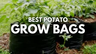 Best Potato Grow Bags With Side Opening | Grow Potatoes In The Best Way