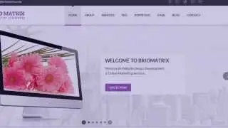 Newyork Web Design Company Briomatrix Welcome Teaser