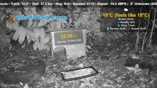 Garden Bird Feeder, Nest Box & Sky Cam | Real-Time Nature & Weather Stream