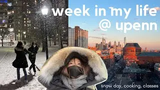 week in my life at upenn | last few days of January, snow day, cooking with friends, week in my life