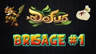[Dofus] KAMAS EN MASSE - GROS BRISAGE D'ITEM (1100%)
