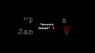 Parents &rarr; Your Doorway to Jannah 🌹 | Islamic Reminder