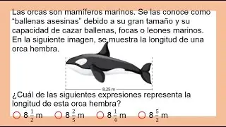 340 - Problema resuelto sobre fracciones y números mixtos en el tamaño de una orca