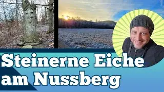 Die Steinerne Eiche am Nussberg - Wanderung in den Sieben Bergen zur mystischen Steinernen Eiche