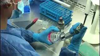 Determinaci&oacute;n de actividad antif&uacute;ngica frente a fitopat&oacute;genos: ensayo de diluci&oacute;n en agar