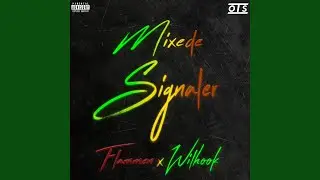 Mixede Signaler