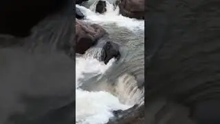 Beautiful Damanjodi #waterfall 💛