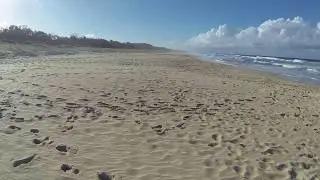 Boardwalk Beach, Mount Coolum (QLD) - dogexplorer.com.au