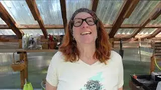 Shed organization and planting new blueberries
